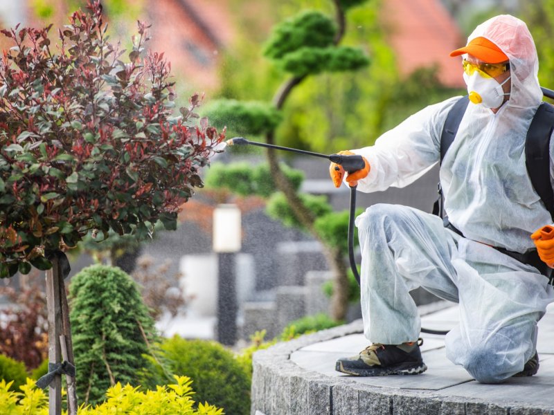 Çelebi Haşere İlaçlama